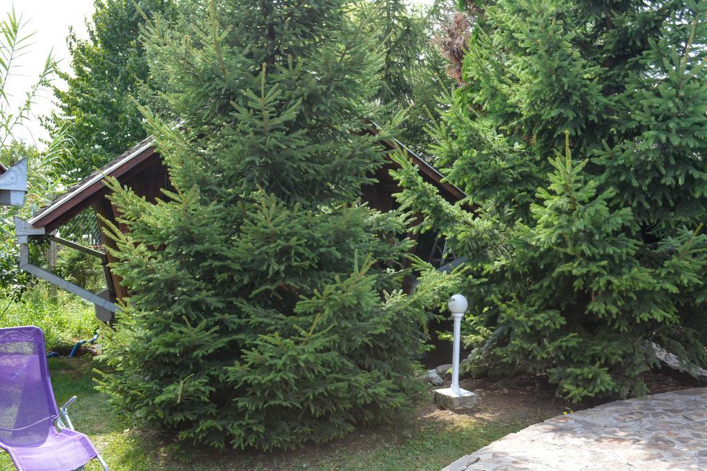 Camping Robinson Country Club Oradea Zewnętrze zdjęcie